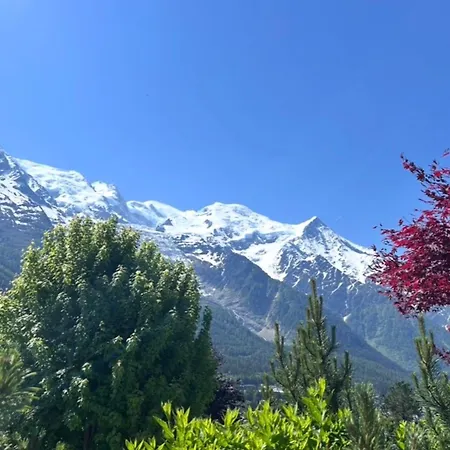 Luxury Sleeps 10 Mont Blanc View Hammam *